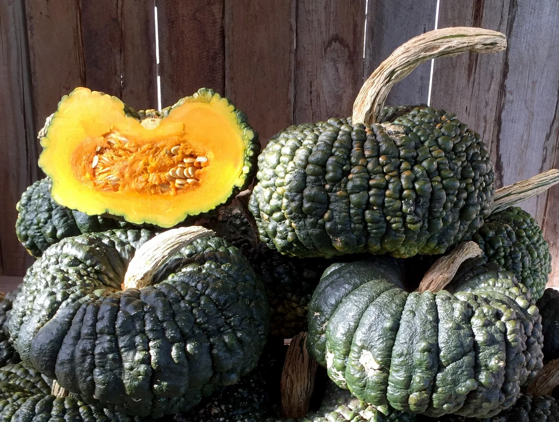 Variété De Courge à Découvrir