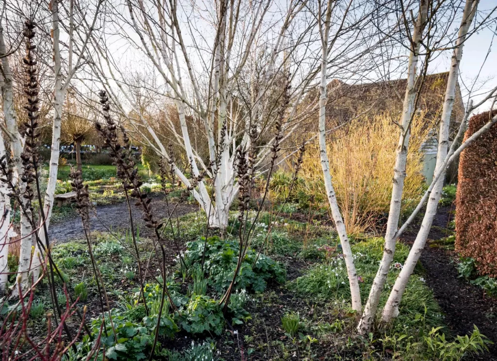 Jardin Manoir