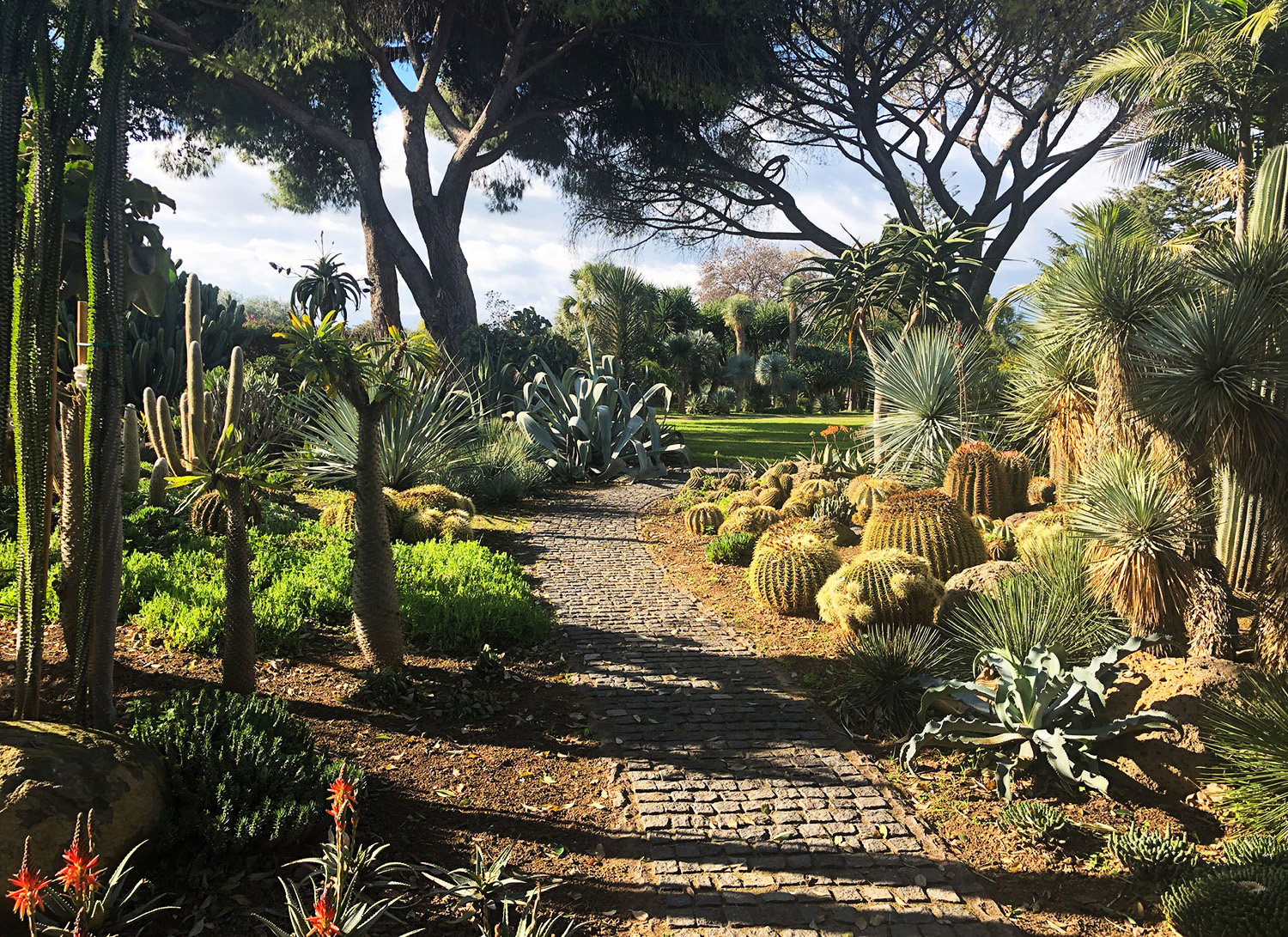 Jardin De San Giuliano