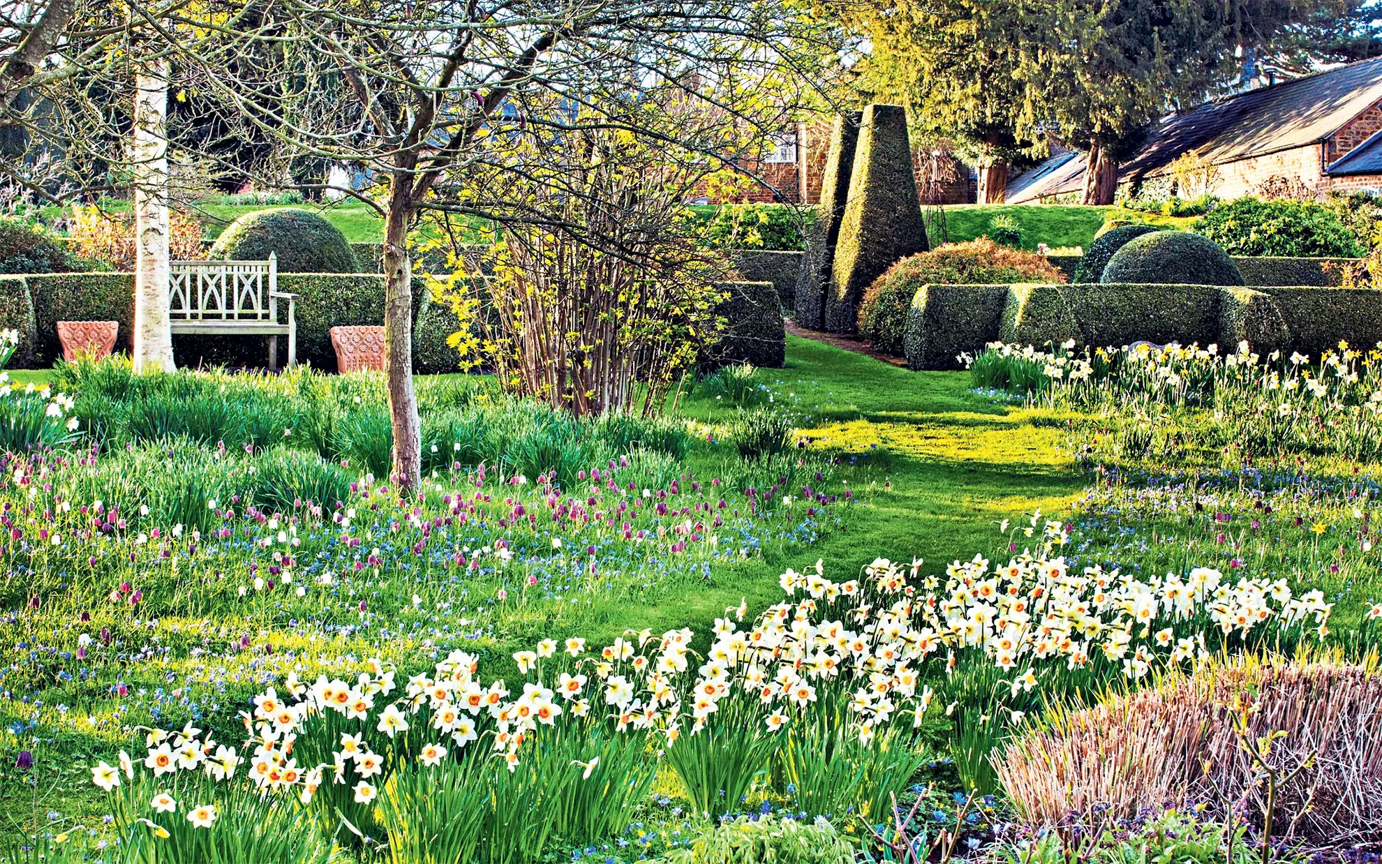 Jardin De Bulbes